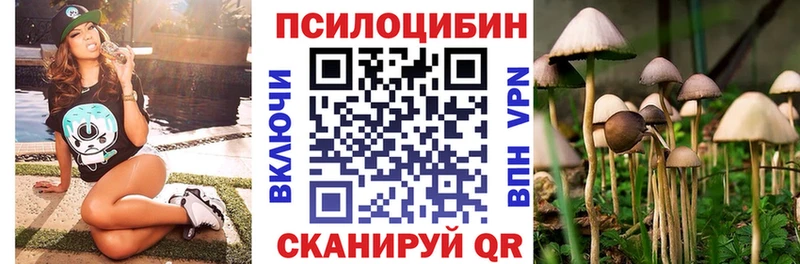 Псилоцибиновые грибы Psilocybe  купить   Талица 